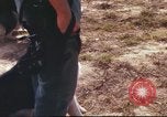 Image of sentry dogs South Vietnam, 1967, second 28 stock footage video 65675062006