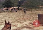 Image of sentry dogs South Vietnam, 1967, second 34 stock footage video 65675062006