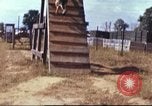 Image of sentry dogs South Vietnam, 1967, second 40 stock footage video 65675062006