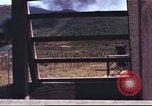 Image of sentry dogs South Vietnam, 1967, second 44 stock footage video 65675062006