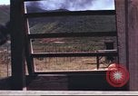 Image of sentry dogs South Vietnam, 1967, second 46 stock footage video 65675062006
