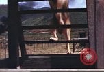 Image of sentry dogs South Vietnam, 1967, second 47 stock footage video 65675062006
