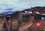 Image of sentry dogs South Vietnam, 1967, second 48 stock footage video 65675062006
