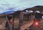 Image of sentry dogs South Vietnam, 1967, second 51 stock footage video 65675062006