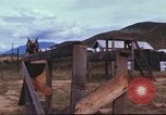 Image of sentry dogs South Vietnam, 1967, second 52 stock footage video 65675062006