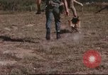 Image of sentry dogs South Vietnam, 1967, second 60 stock footage video 65675062006