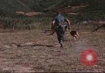 Image of sentry dogs South Vietnam, 1967, second 61 stock footage video 65675062006