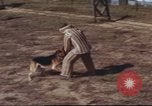 Image of sentry dogs South Vietnam, 1967, second 62 stock footage video 65675062006
