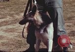 Image of sentry dogs South Vietnam, 1967, second 9 stock footage video 65675062007