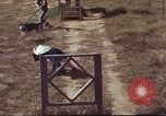 Image of sentry dogs South Vietnam, 1967, second 13 stock footage video 65675062007