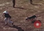 Image of sentry dogs South Vietnam, 1967, second 16 stock footage video 65675062007