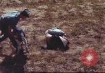 Image of sentry dogs South Vietnam, 1967, second 22 stock footage video 65675062007