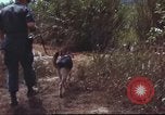 Image of sentry dogs South Vietnam, 1967, second 27 stock footage video 65675062007