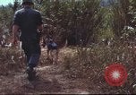 Image of sentry dogs South Vietnam, 1967, second 28 stock footage video 65675062007