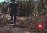 Image of sentry dogs South Vietnam, 1967, second 29 stock footage video 65675062007