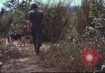 Image of sentry dogs South Vietnam, 1967, second 31 stock footage video 65675062007
