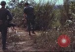 Image of sentry dogs South Vietnam, 1967, second 32 stock footage video 65675062007