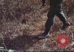Image of sentry dogs South Vietnam, 1967, second 33 stock footage video 65675062007