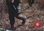 Image of sentry dogs South Vietnam, 1967, second 34 stock footage video 65675062007