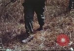 Image of sentry dogs South Vietnam, 1967, second 37 stock footage video 65675062007