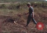 Image of sentry dogs South Vietnam, 1967, second 38 stock footage video 65675062007
