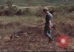 Image of sentry dogs South Vietnam, 1967, second 39 stock footage video 65675062007