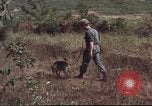 Image of sentry dogs South Vietnam, 1967, second 41 stock footage video 65675062007