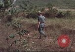 Image of sentry dogs South Vietnam, 1967, second 42 stock footage video 65675062007