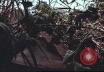 Image of sentry dogs South Vietnam, 1967, second 44 stock footage video 65675062007