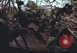 Image of sentry dogs South Vietnam, 1967, second 45 stock footage video 65675062007