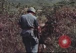 Image of sentry dogs South Vietnam, 1967, second 46 stock footage video 65675062007