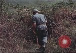 Image of sentry dogs South Vietnam, 1967, second 48 stock footage video 65675062007