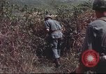 Image of sentry dogs South Vietnam, 1967, second 49 stock footage video 65675062007
