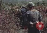 Image of sentry dogs South Vietnam, 1967, second 50 stock footage video 65675062007