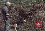 Image of sentry dogs South Vietnam, 1967, second 52 stock footage video 65675062007