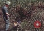 Image of sentry dogs South Vietnam, 1967, second 53 stock footage video 65675062007