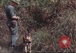 Image of sentry dogs South Vietnam, 1967, second 54 stock footage video 65675062007