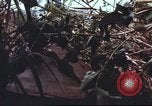 Image of sentry dogs South Vietnam, 1967, second 56 stock footage video 65675062007