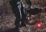 Image of sentry dogs South Vietnam, 1967, second 60 stock footage video 65675062007