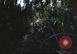 Image of United States Navy Vietnam, 1967, second 62 stock footage video 65675062008
