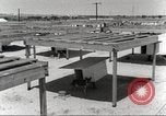 Immagine di Cani sentinella San Antonio Texas USA, 1965, secondo 12 filmato di repertorio 65675062012