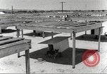 Immagine di Cani sentinella San Antonio Texas USA, 1965, secondo 13 filmato di repertorio 65675062012