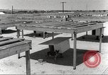 Immagine di Cani sentinella San Antonio Texas USA, 1965, secondo 14 filmato di repertorio 65675062012