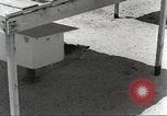 Immagine di Cani sentinella San Antonio Texas USA, 1965, secondo 19 filmato di repertorio 65675062012