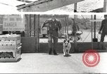 Immagine di Cani sentinella San Antonio Texas USA, 1965, secondo 20 filmato di repertorio 65675062012