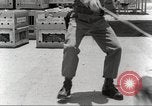 Immagine di Cani sentinella San Antonio Texas USA, 1965, secondo 24 filmato di repertorio 65675062012