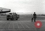 Immagine di Cani sentinella Il Vietnam, 1965, secondo 3 filmato di repertorio 65675062013