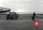 Immagine di Cani sentinella Il Vietnam, 1965, secondo 4 filmato di repertorio 65675062013