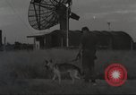 Immagine di Cani sentinella Il Vietnam, 1965, secondo 7 filmato di repertorio 65675062013
