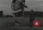 Immagine di Cani sentinella Il Vietnam, 1965, secondo 8 filmato di repertorio 65675062013
